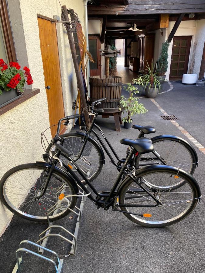 Suites Residences Spa Colmar Buitenkant foto